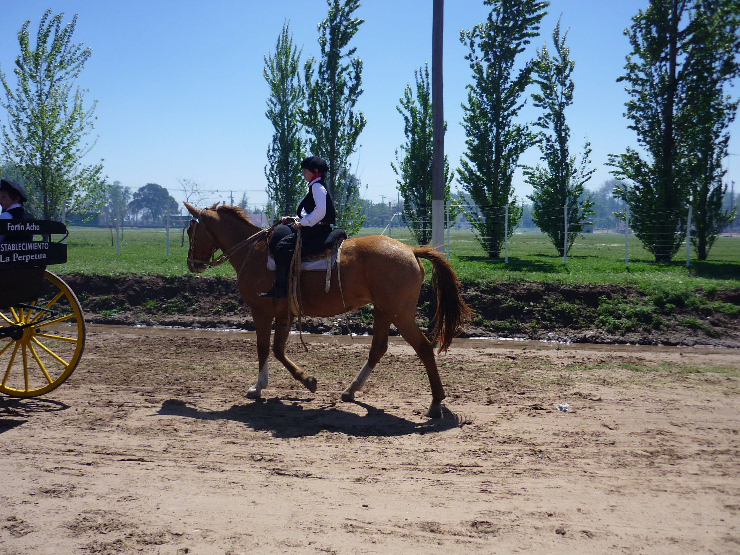 fotos/2009-10-11 - Fiesta del Cordero/P1000417.JPG